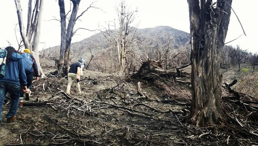 Hotel Wagelia Turrialba Dış mekan fotoğraf