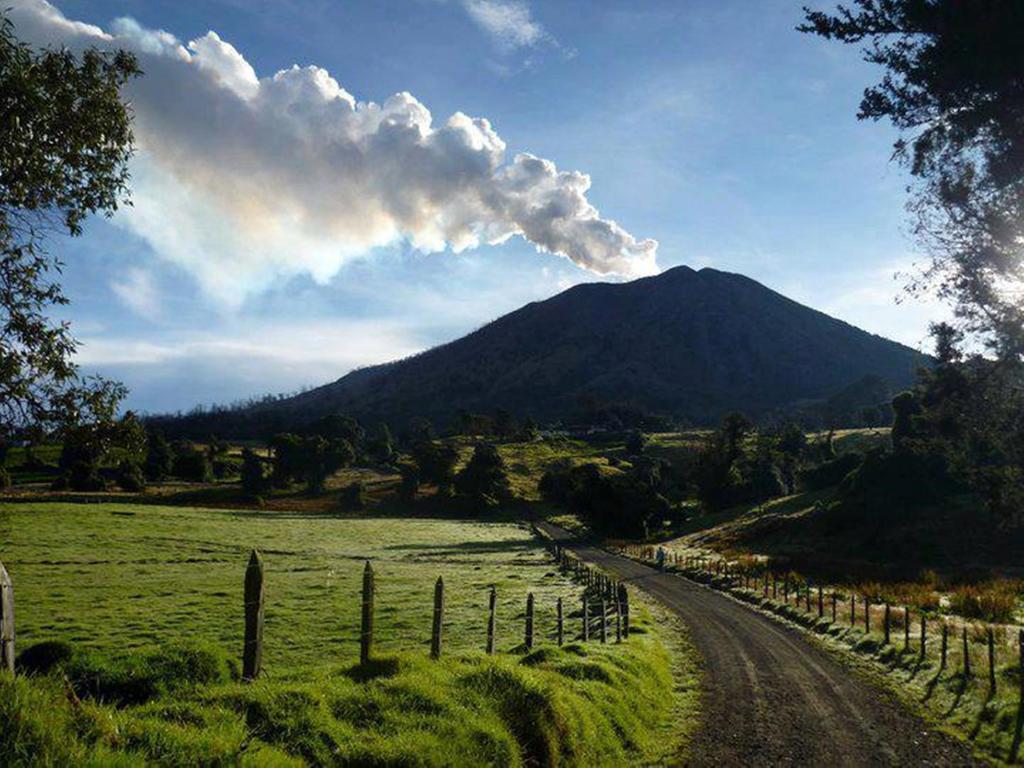 Hotel Wagelia Turrialba Dış mekan fotoğraf