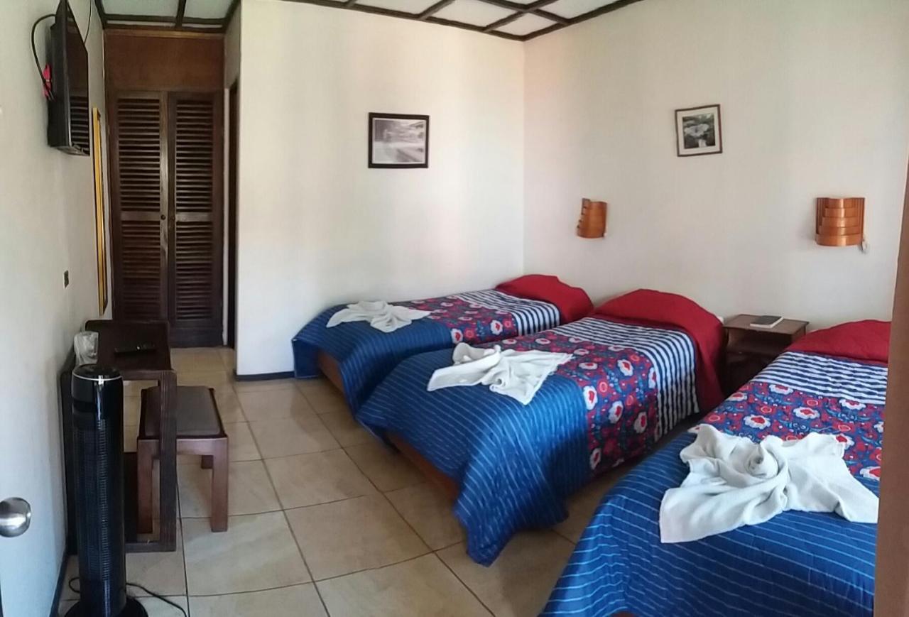 Hotel Wagelia Turrialba Dış mekan fotoğraf